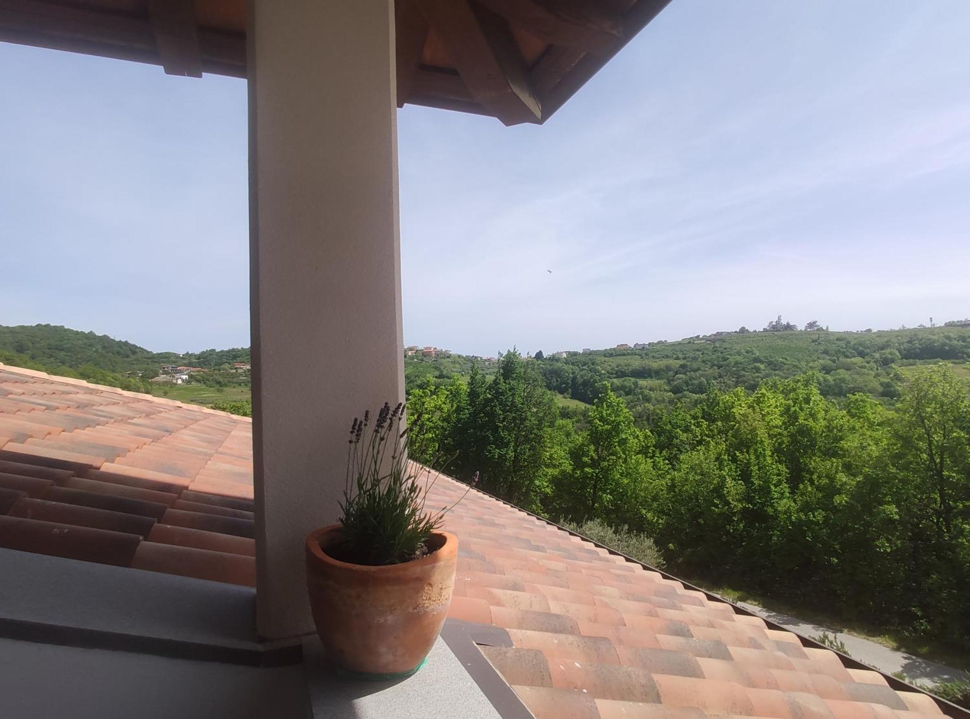 Apartma Lavanda Kojsko Esterno foto