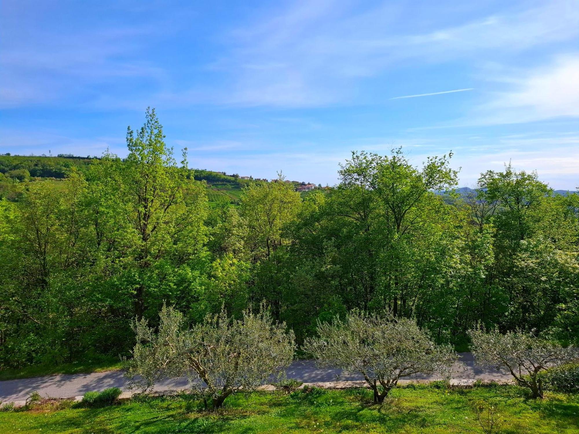 Apartma Lavanda Kojsko Esterno foto
