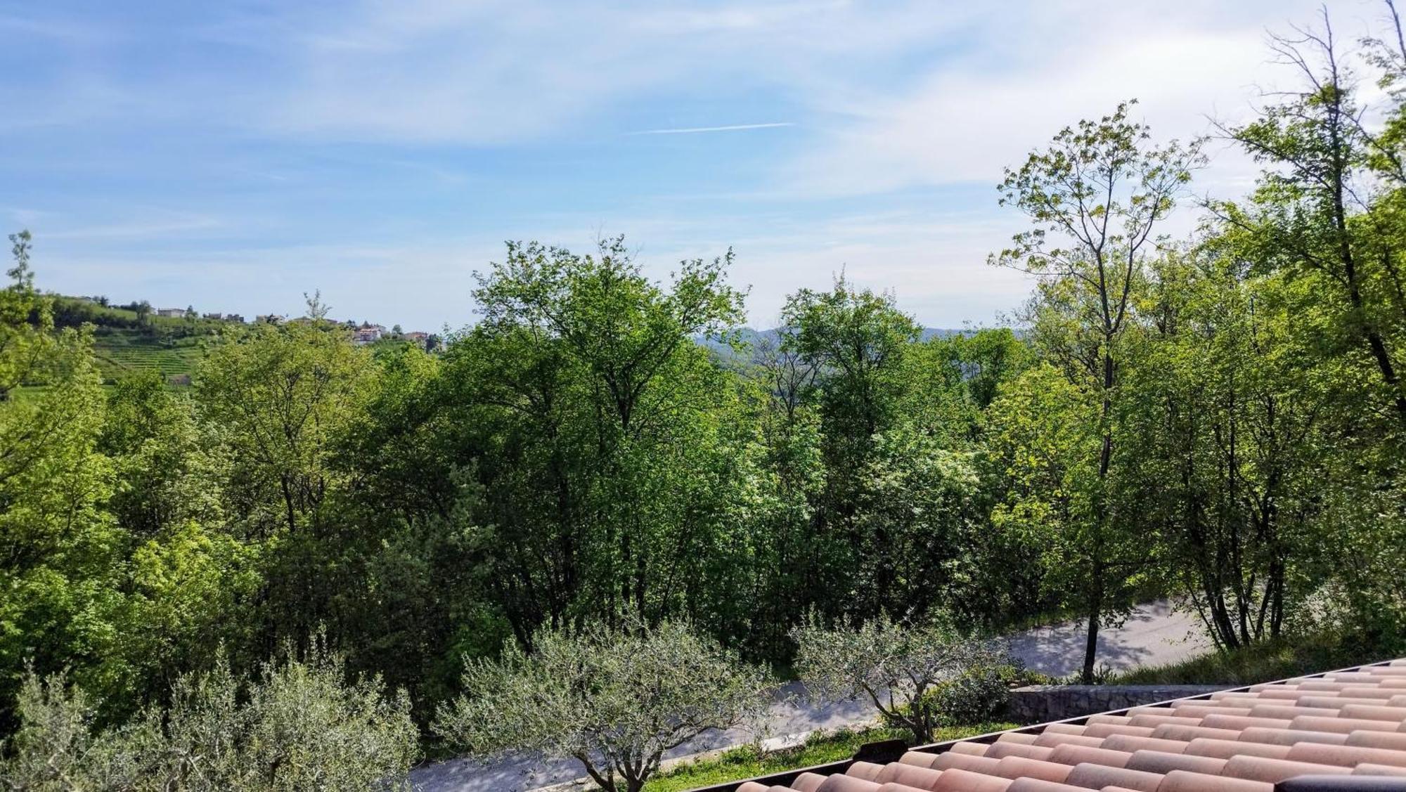 Apartma Lavanda Kojsko Esterno foto